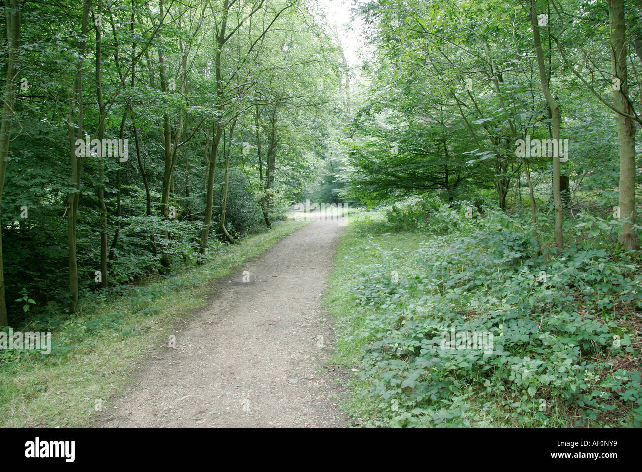Verdant pathway hi-res stock photography and images - Alamy