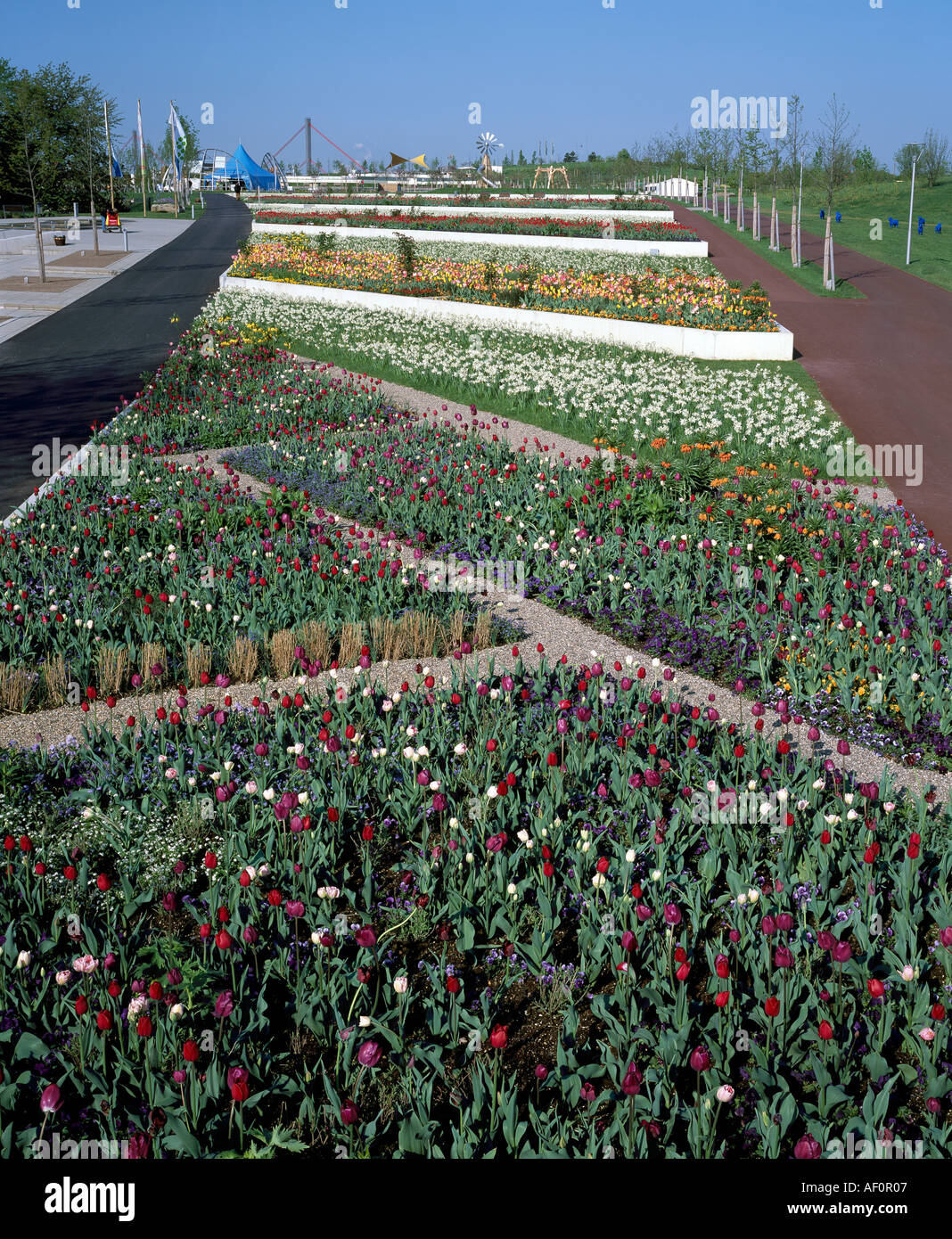 Leverkusen, Landesgartenschau 2005, Blumenterrassen am Eingang Mitte Stock Photo