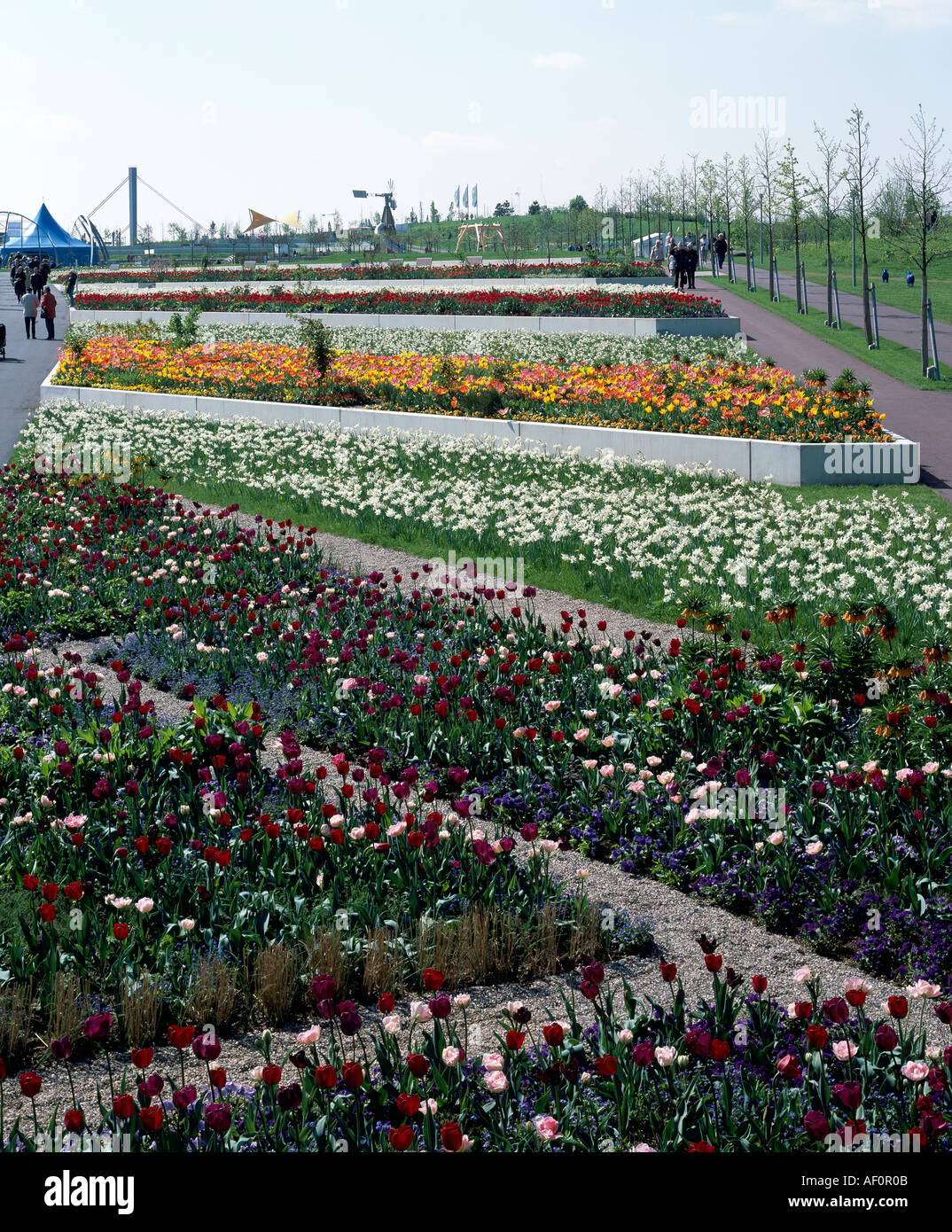 Leverkusen, Landesgartenschau 2005, Blumenterrassen am Eingang Mitte Stock Photo