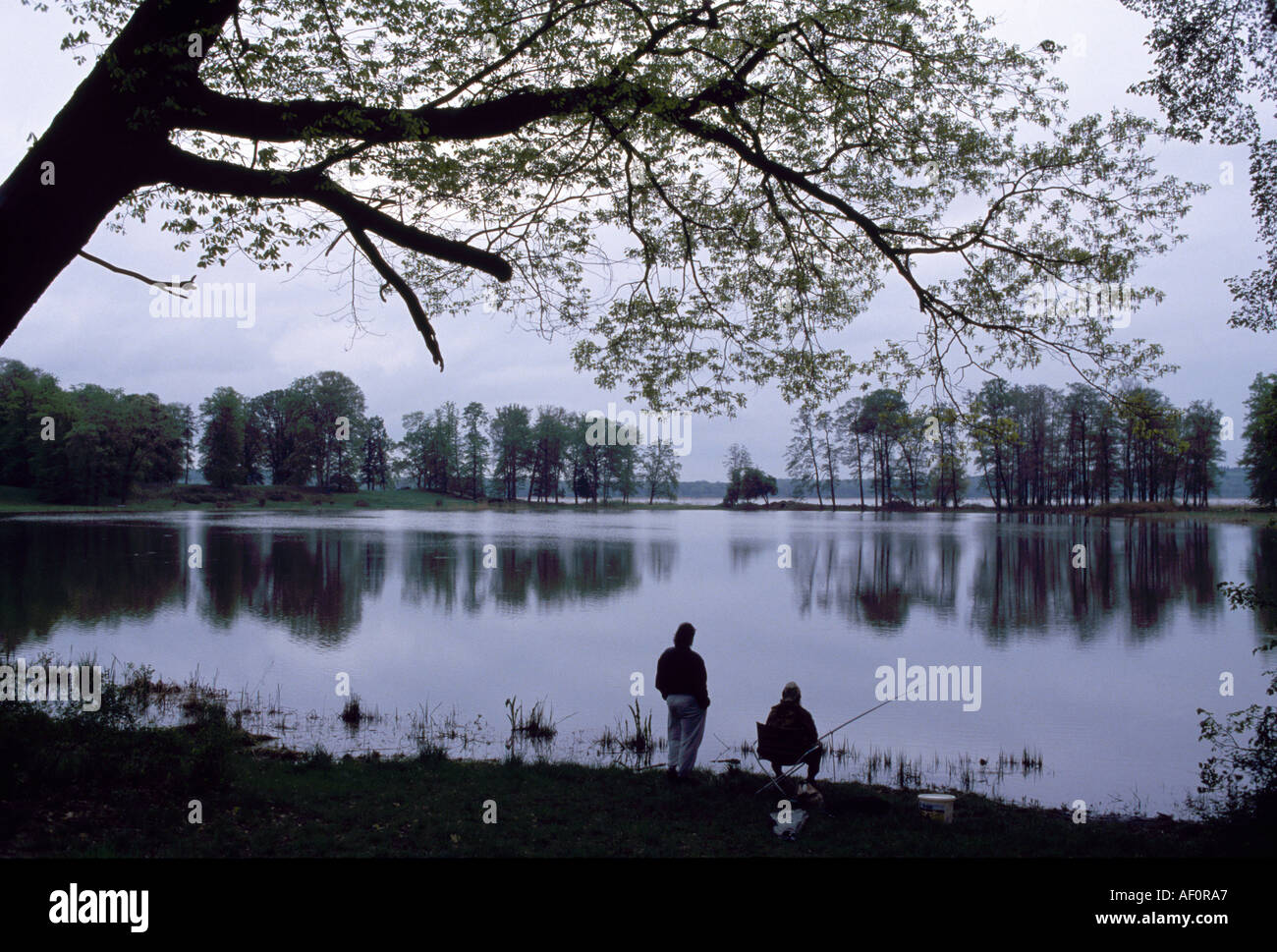 Schwielowsee bei Petzow, Angler in der Morgendämmerung Stock Photo