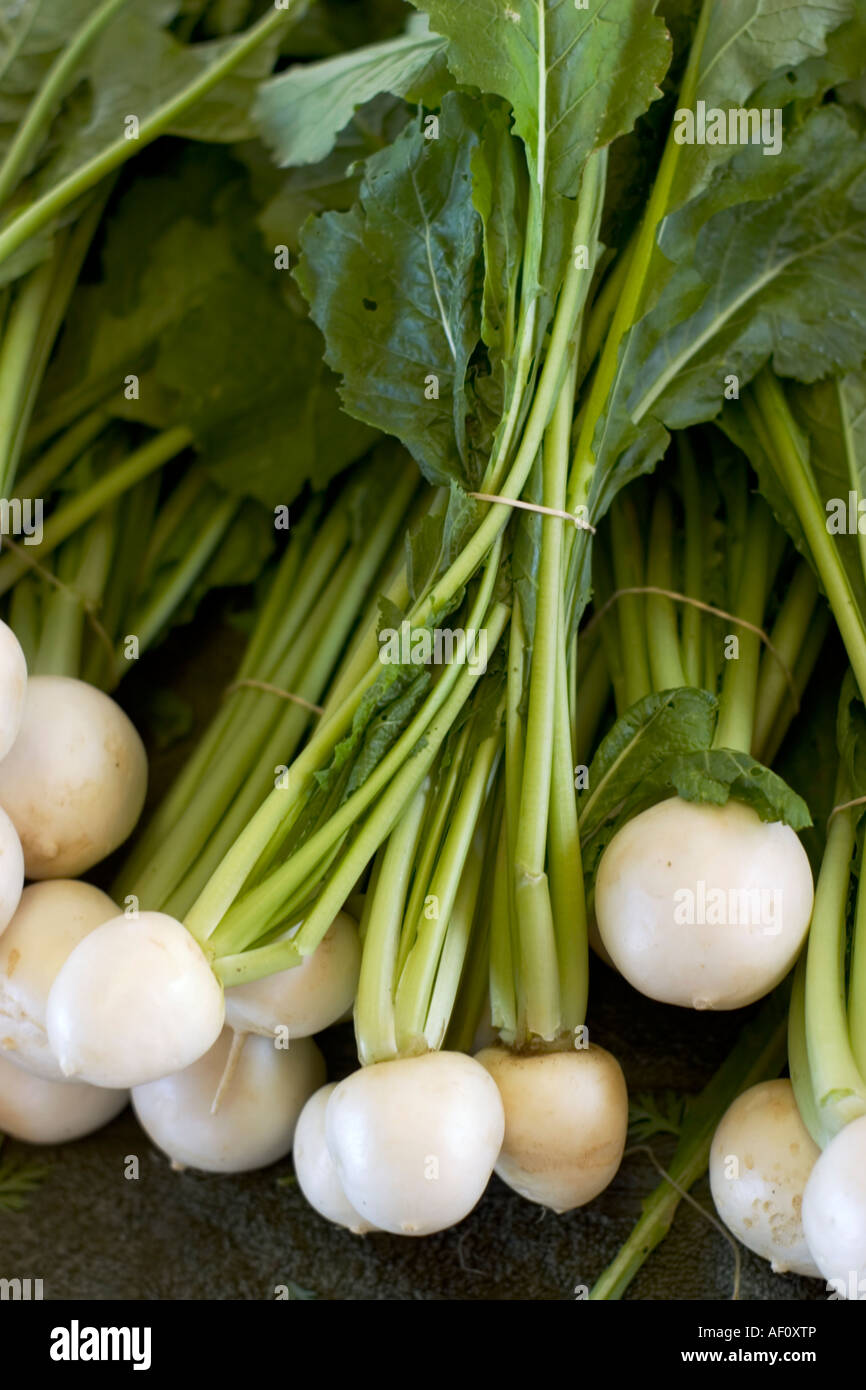 Bunches of white oriental radish at a farmers market. Stock Photo