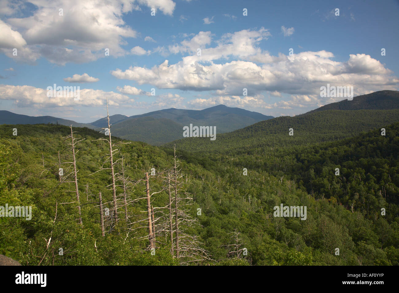 View from Owls Head Mountain near Keene in the High Peaks Region in the