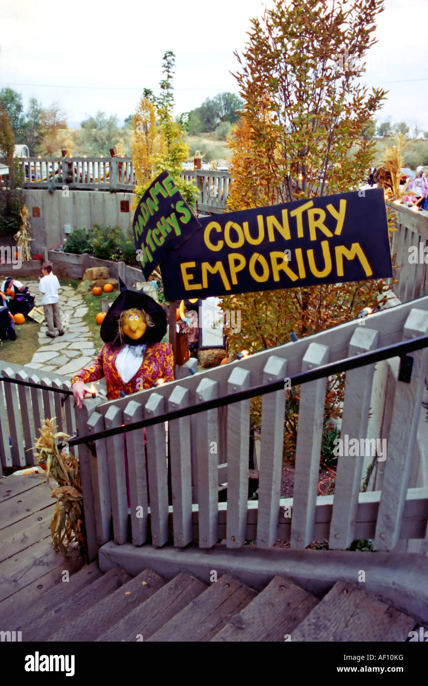 A country witches you to the Country Emporium at a historical