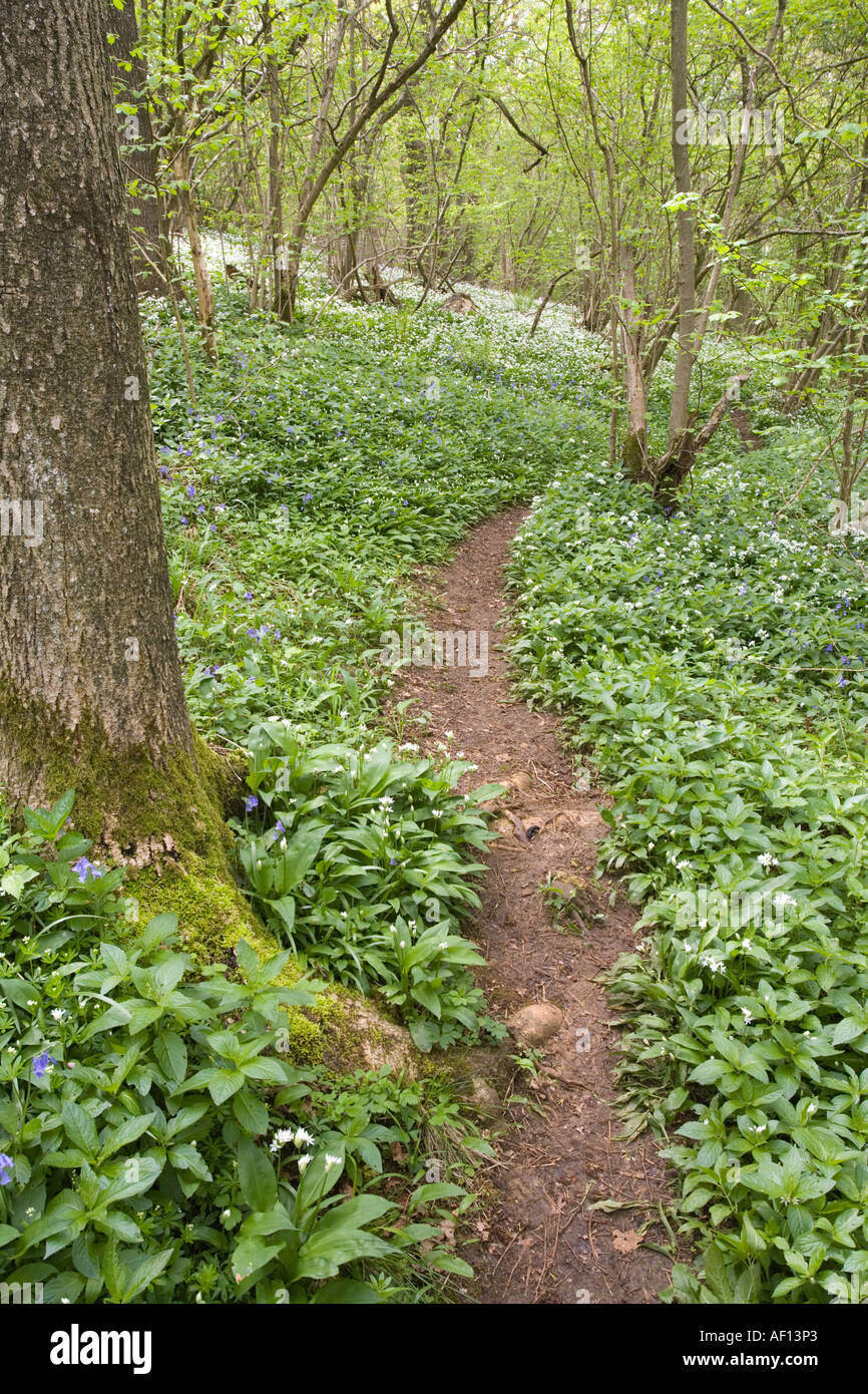 Dowdeswell hi-res stock photography and images - Alamy