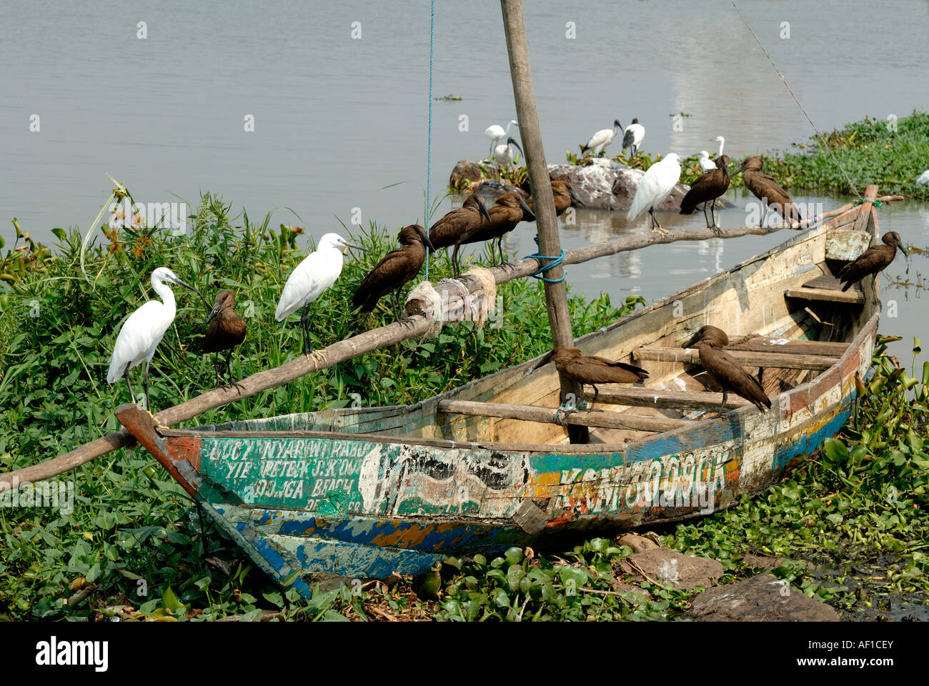 Luo fishing boat hi-res stock photography and images - Alamy