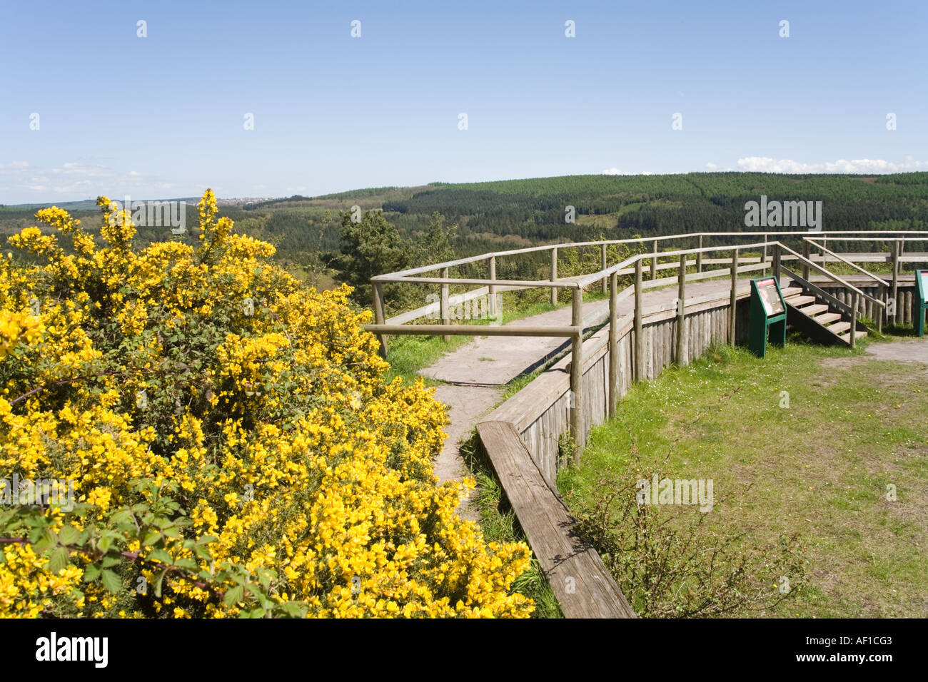 The view over the Forest of Dean from the viewpoint at New Fancy View