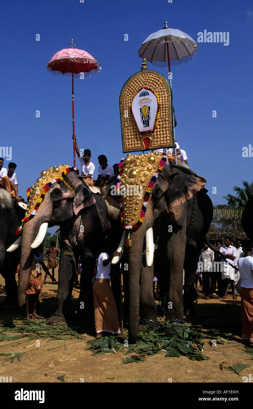 South India Kerala Trichur Elephant Festival Stock Photo Alamy