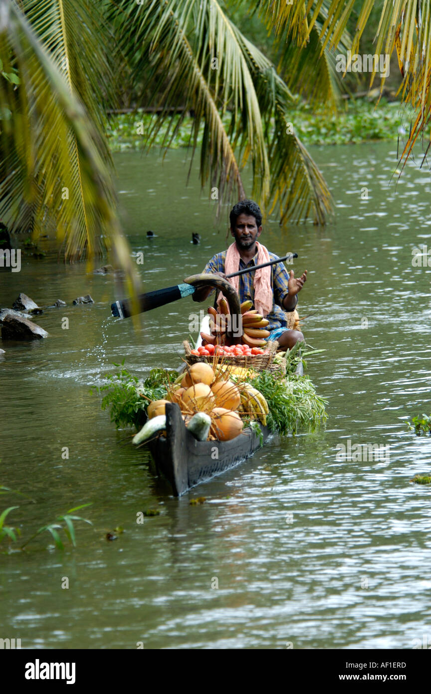 COUNTRY BOAT IN BACKWATERS OF KUTTANAD, ALAPPUZHA Stock Photo