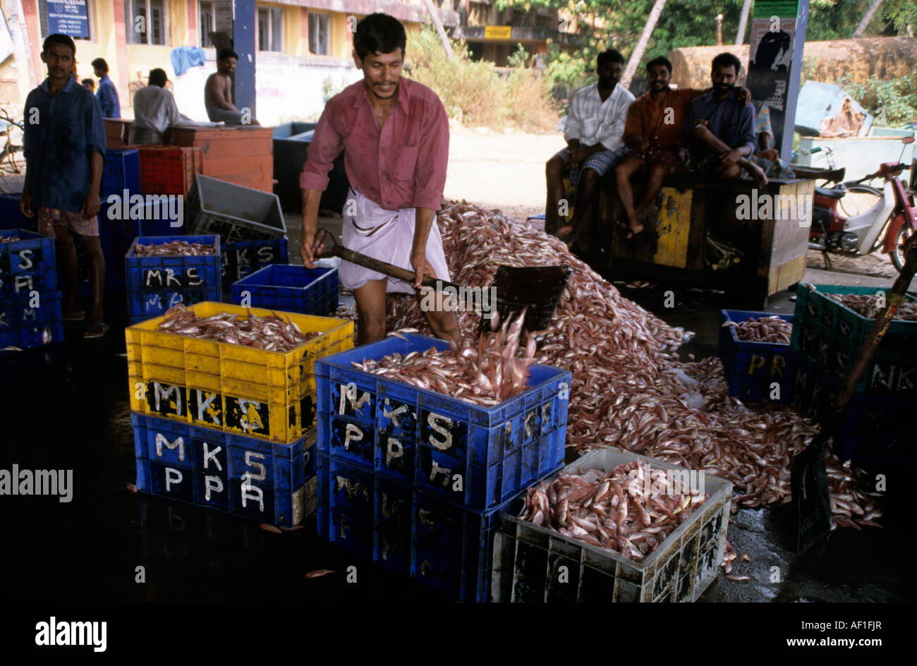 South India Kerala Local Caption Calicut Fishing Village Stock Photo ...
