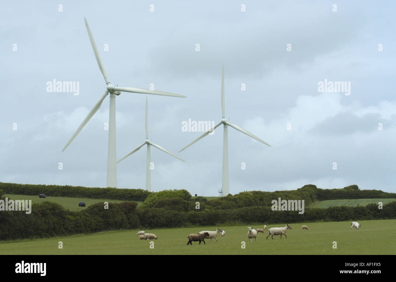 Bearsdown wind farm in cornwall England Stock Photo