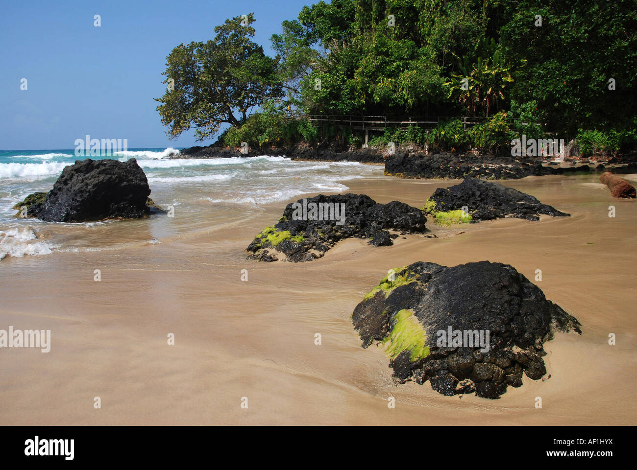 Red Frog beach. Bastimentos Island. Archipelago Bocas del Toro. Panama. Central America Stock Photo