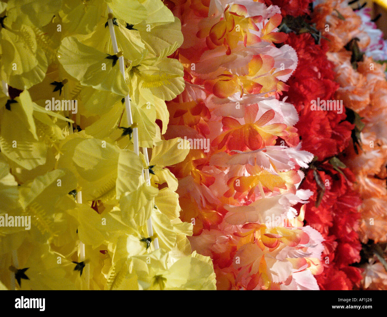 Leis on display in a local surf shop Stock Photo