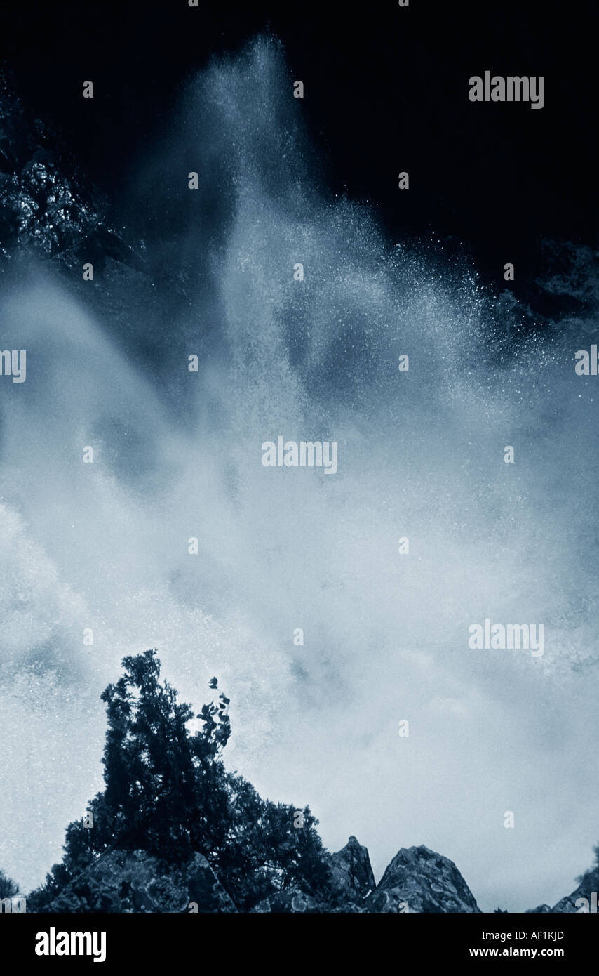 A tree silhouetted against a raging river during the spring melt in ...