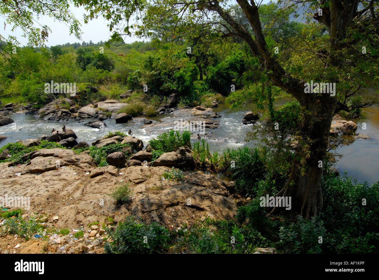 River thamiraparani hires stock photography and images Alamy