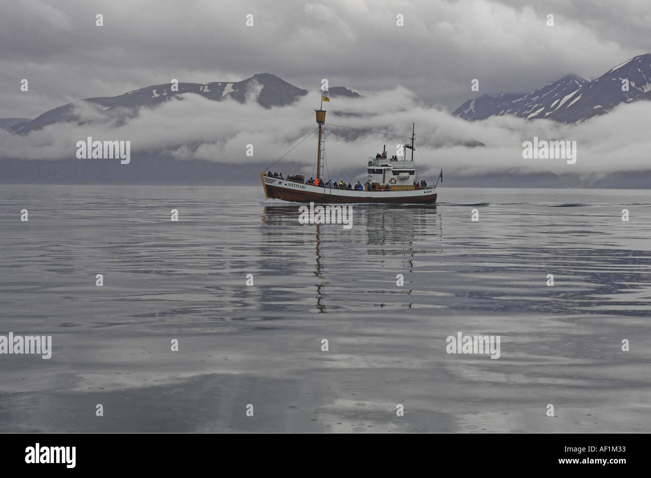 Whale watching hi-res stock photography and images - Alamy