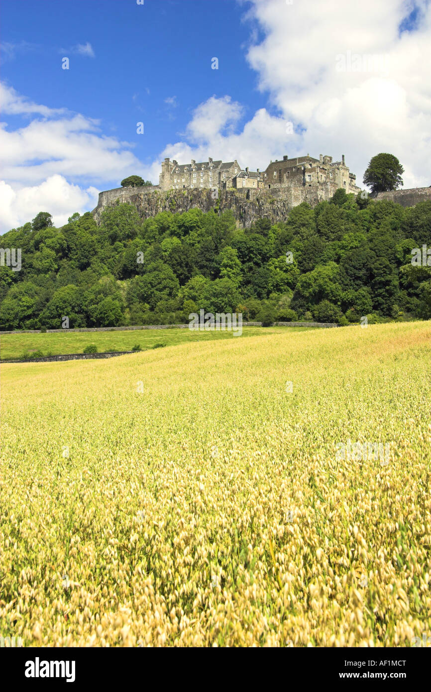 Stirling landscape spring hires stock photography and images Alamy
