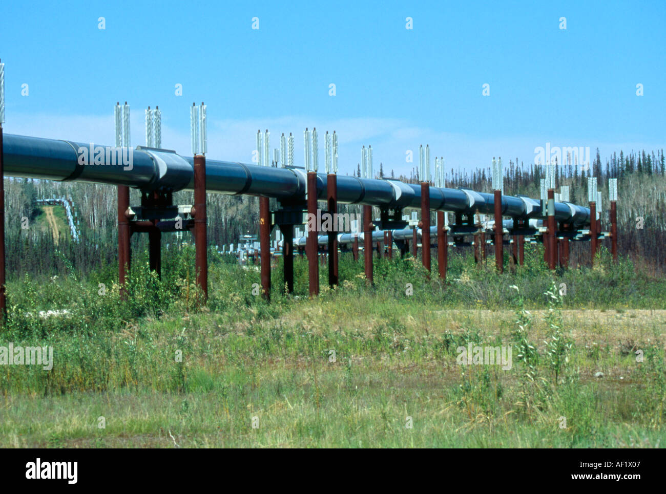 The Alkan pipeline to the northern Alaskan oil fields crosses the plains Stock Photo