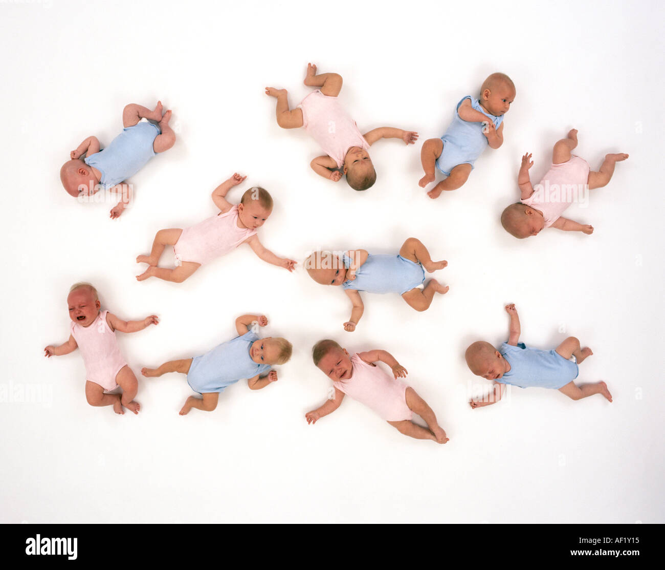 Ten babies in pink and blue Stock Photo