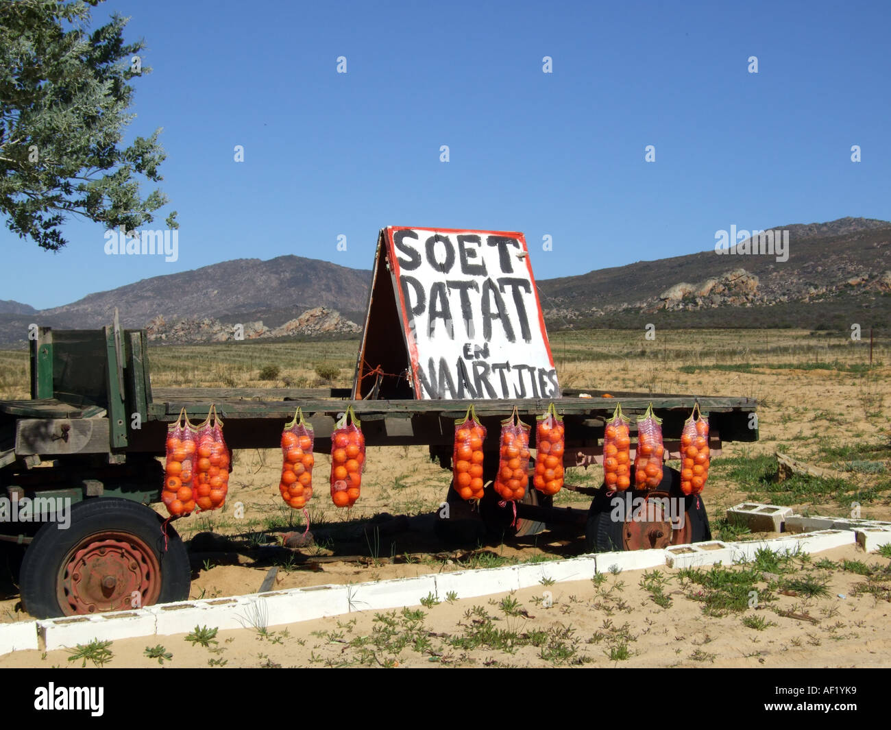 Citrusdal South Africa RSA. Oranges produce on sale at the roadside from a farm trailer Stock Photo