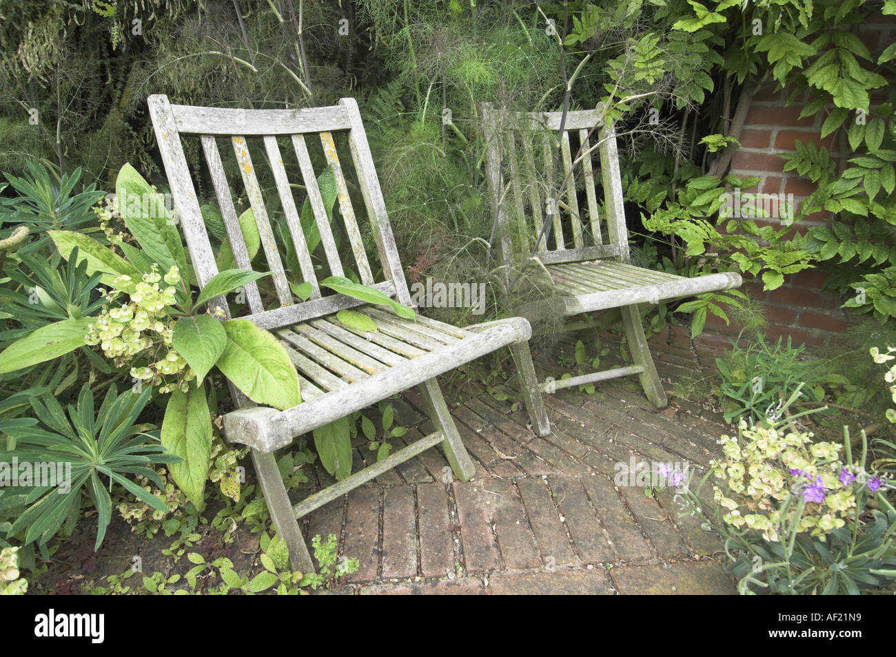 Old Rustic Wooden Garden Chairs In A Shady Corner Stock Photo Alamy old-rustic-wooden-garden-chairs-in-a-shady-corner-stock-photo-alamy