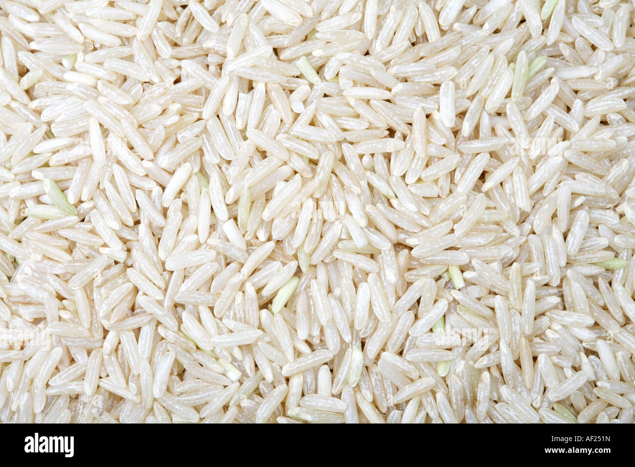 Bowl Of Uncooked White Rice Grains As A Food Staple Against A White