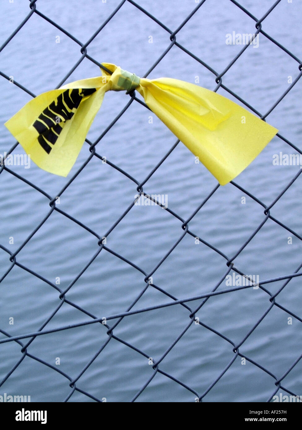 plastic bow tied on fence Stock Photo Alamy