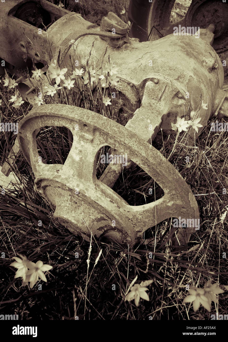 The wheel and axle section of an old vehicle abandoned in a field, New Zealand Stock Photo Alamy