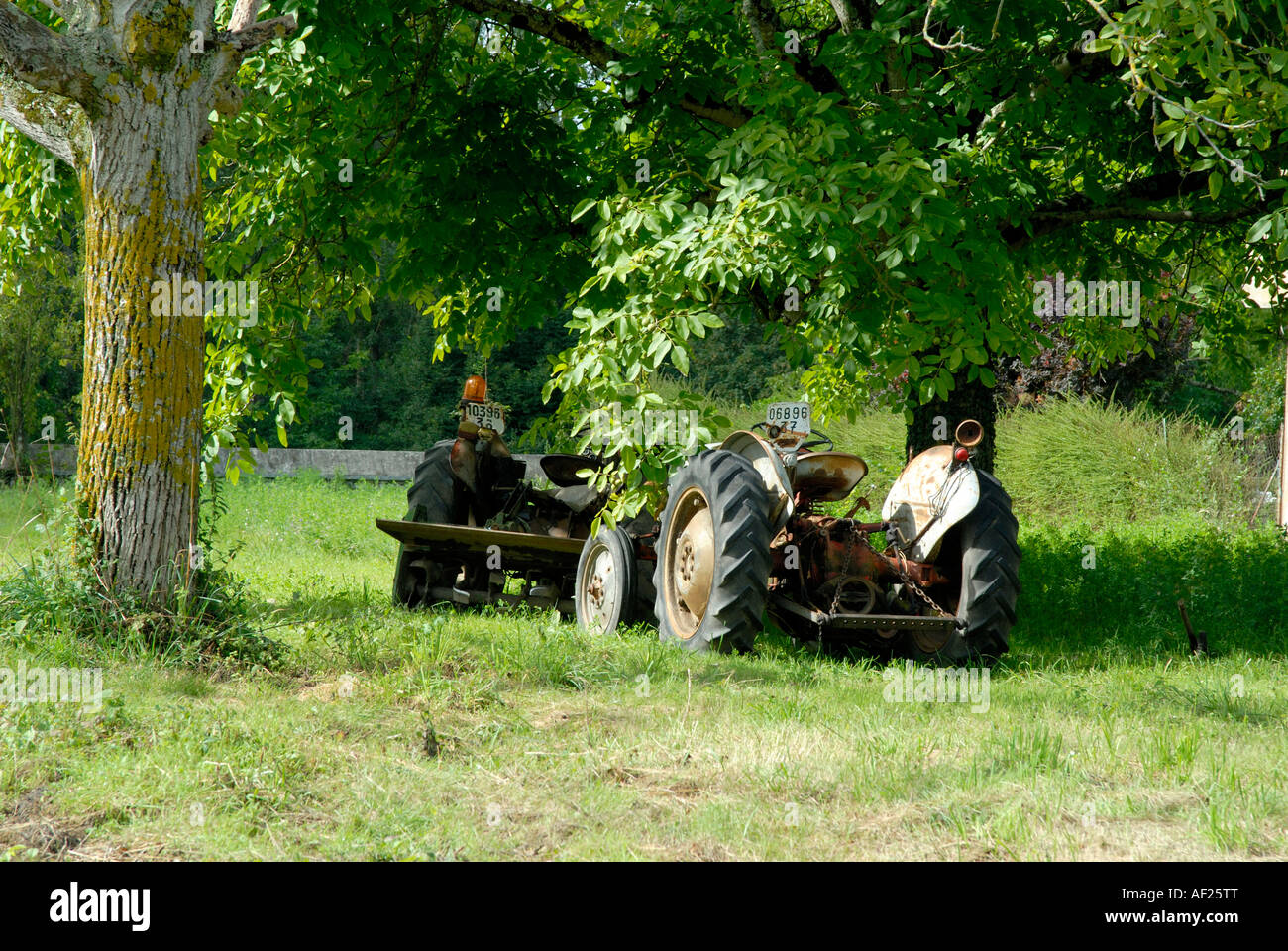 Old tractor under walnut trees, Indre, France Stock Photo - Alamy