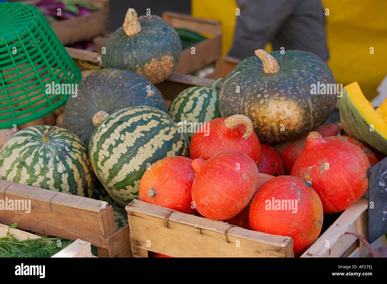 A mixture of Squashes for sale on a market in the Languedoc Roussillon area of the south of France Stock Photo