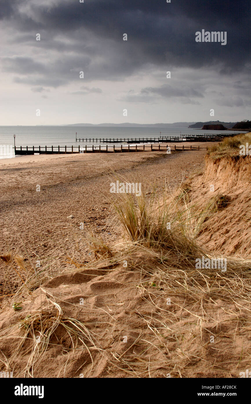 View across beach with groynes Near Exmouth and Exe Estuary, Devon