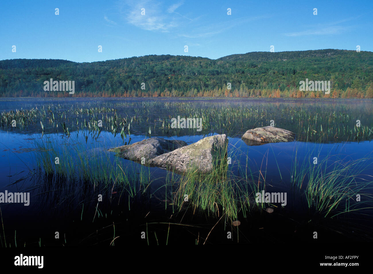 Secluded pond in Nahmakanta public reserved land, northern Maine Stock