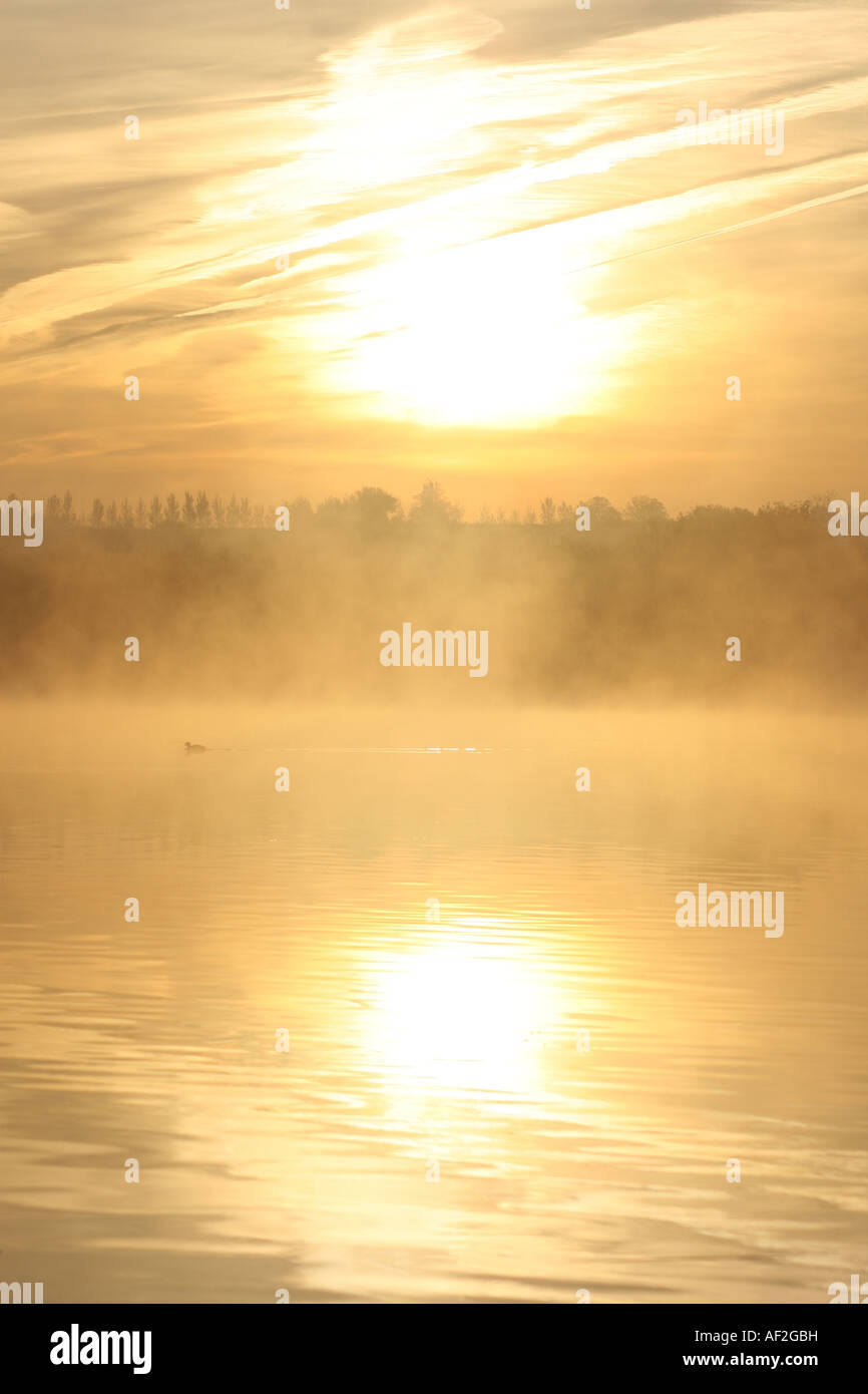 morning mist on a lake Stock Photo - Alamy