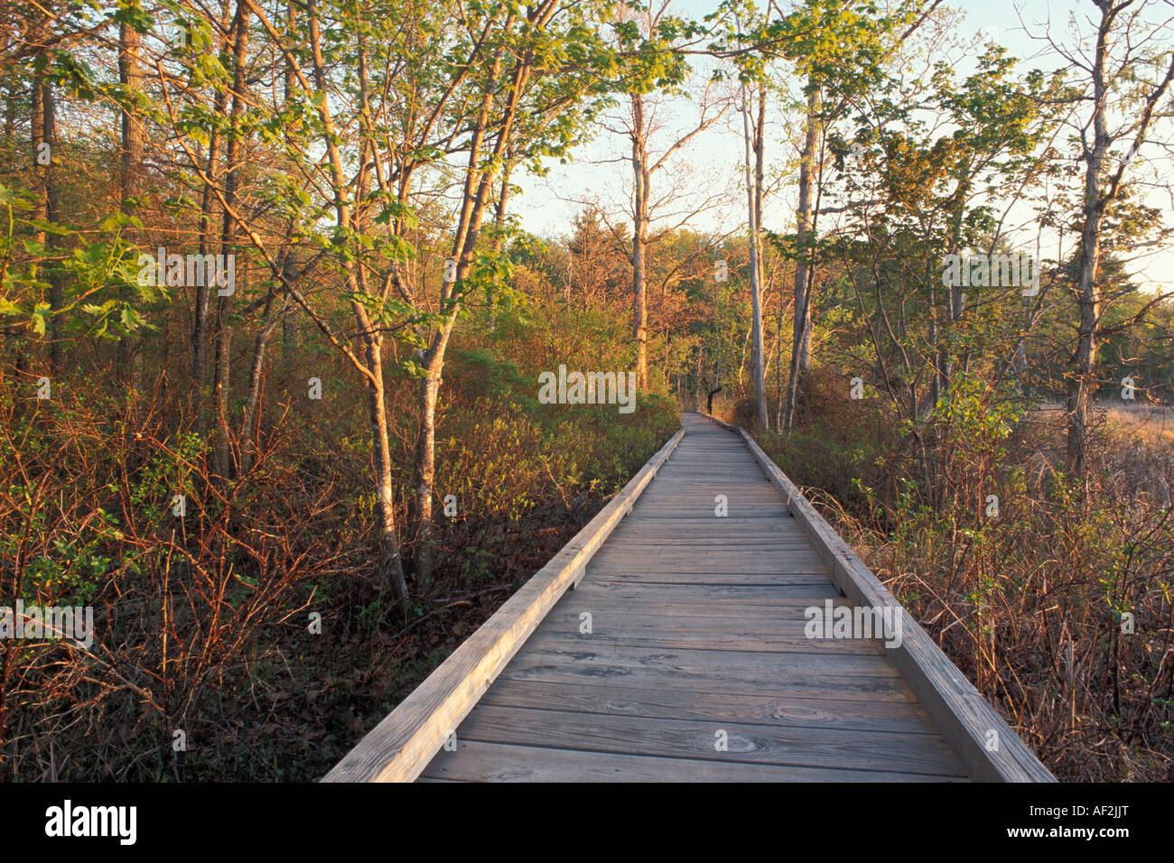Boardwalk at the Great Bay National Estuarine Research Reserve, Great