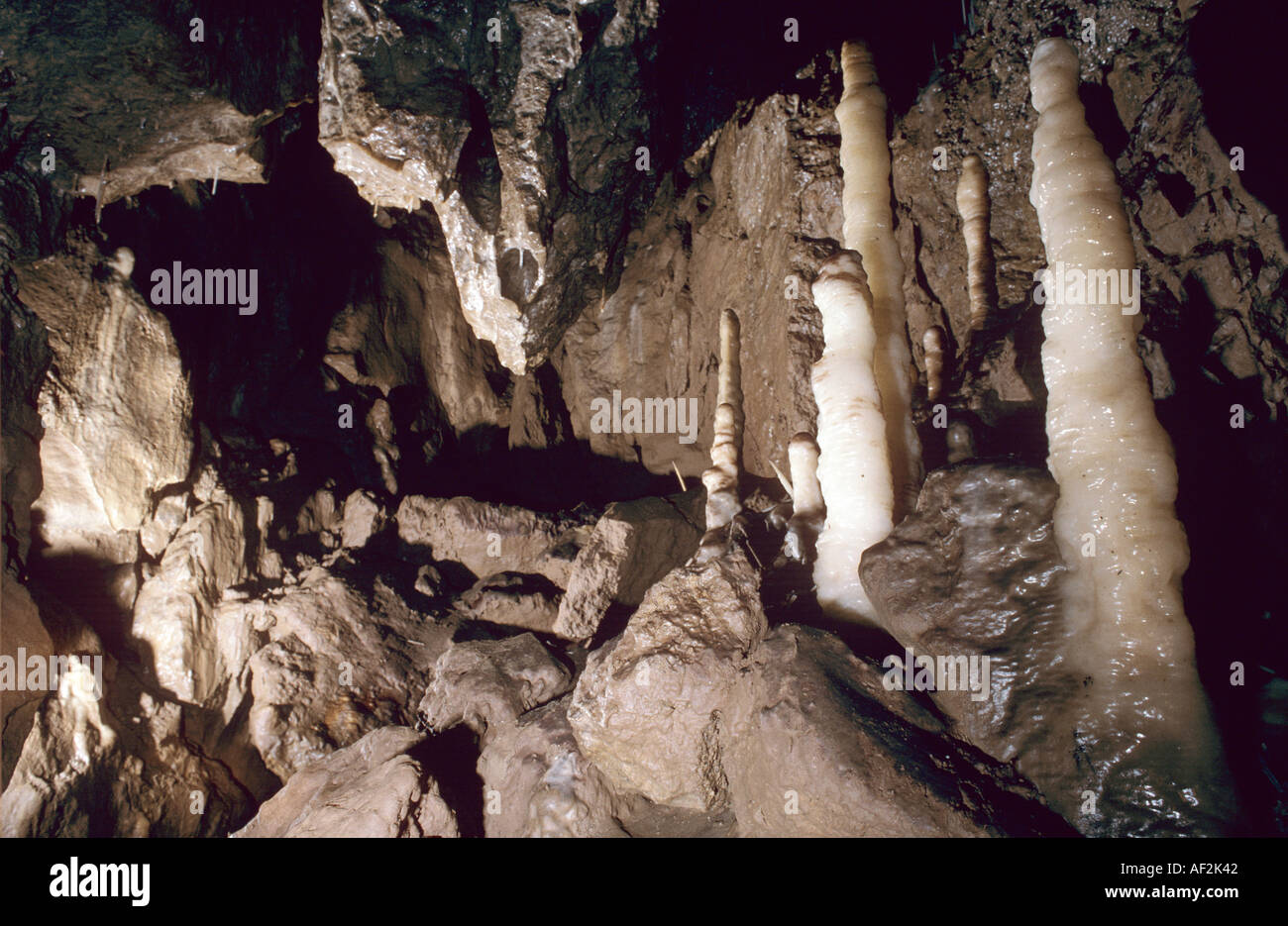 Stalagmites in the Great Expectations caving system north yorkshire Dales UK Stock Photo