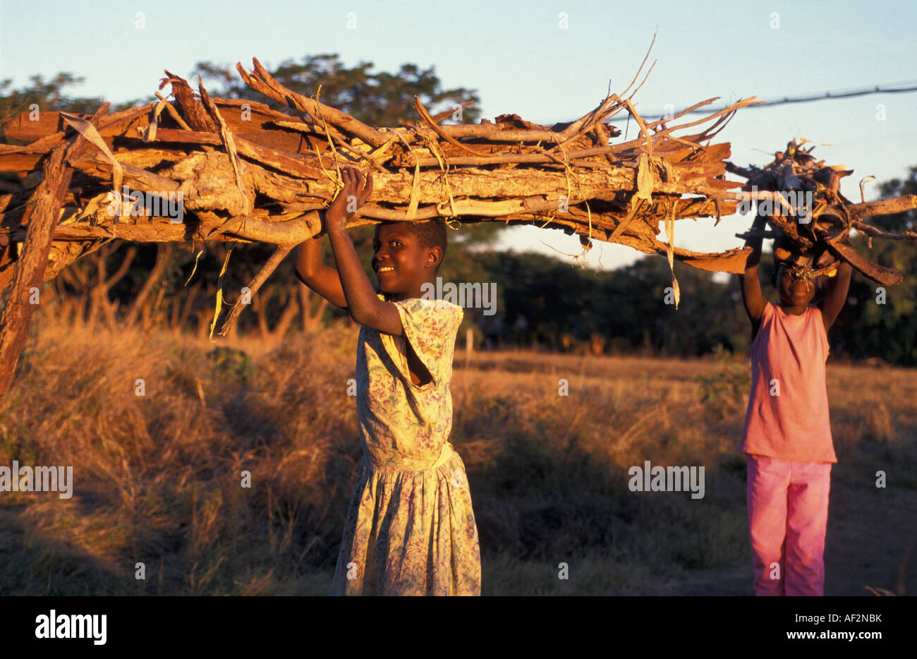Zimbabwe Hwange National Park Boy and girl carrying fire wood on head Stock Photo