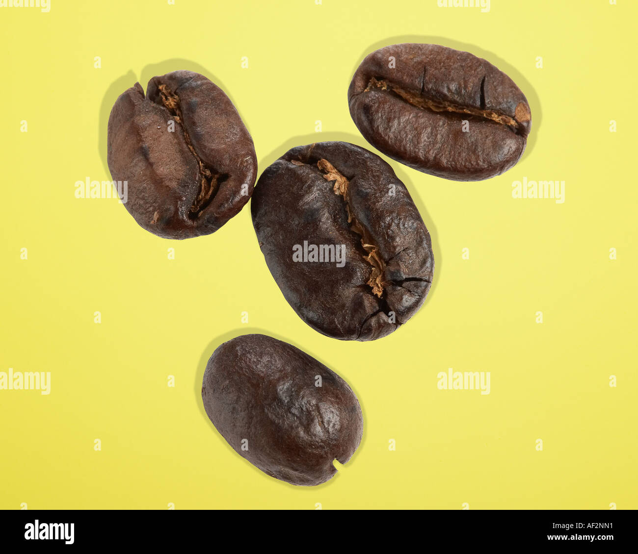 Red Rocket Stock Close up photograph of coffee beans with clipping path on color background Stock Photo