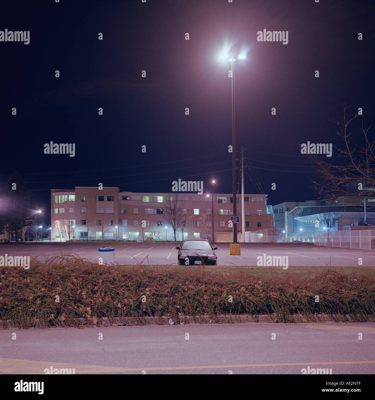 List 97+ Wallpaper Why Are All The Car Lots Empty Sharp