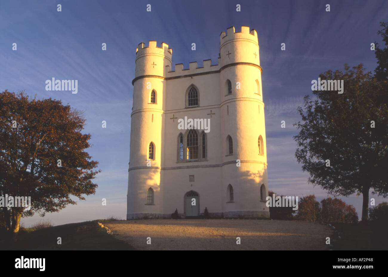 Haldon Belvedere near Exeter Devon UK Stock Photo Alamy