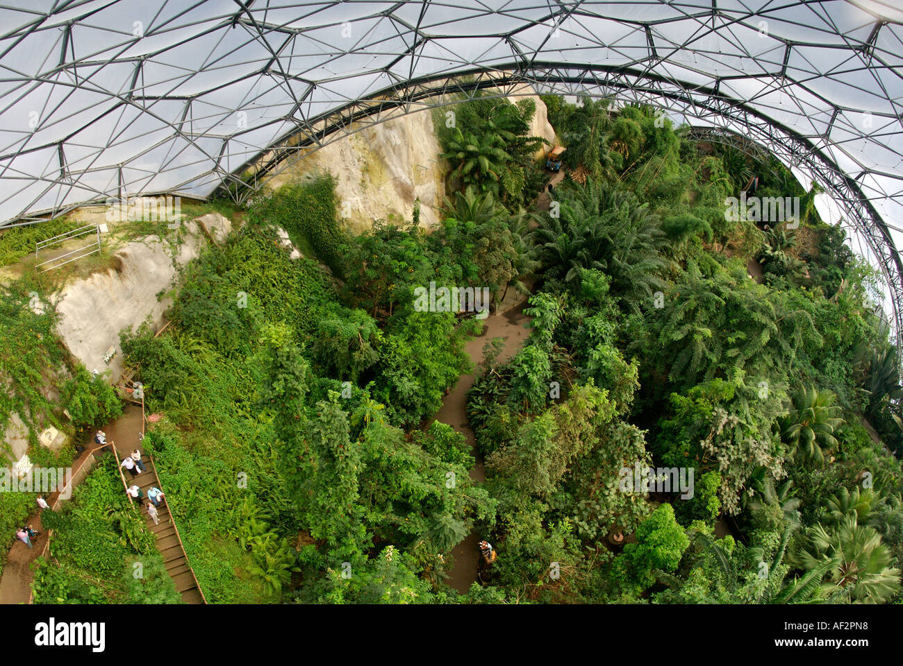 Biomes Cornwall The Biomes at The Eden Project in Cornwall, England Stock Photo - Alamy