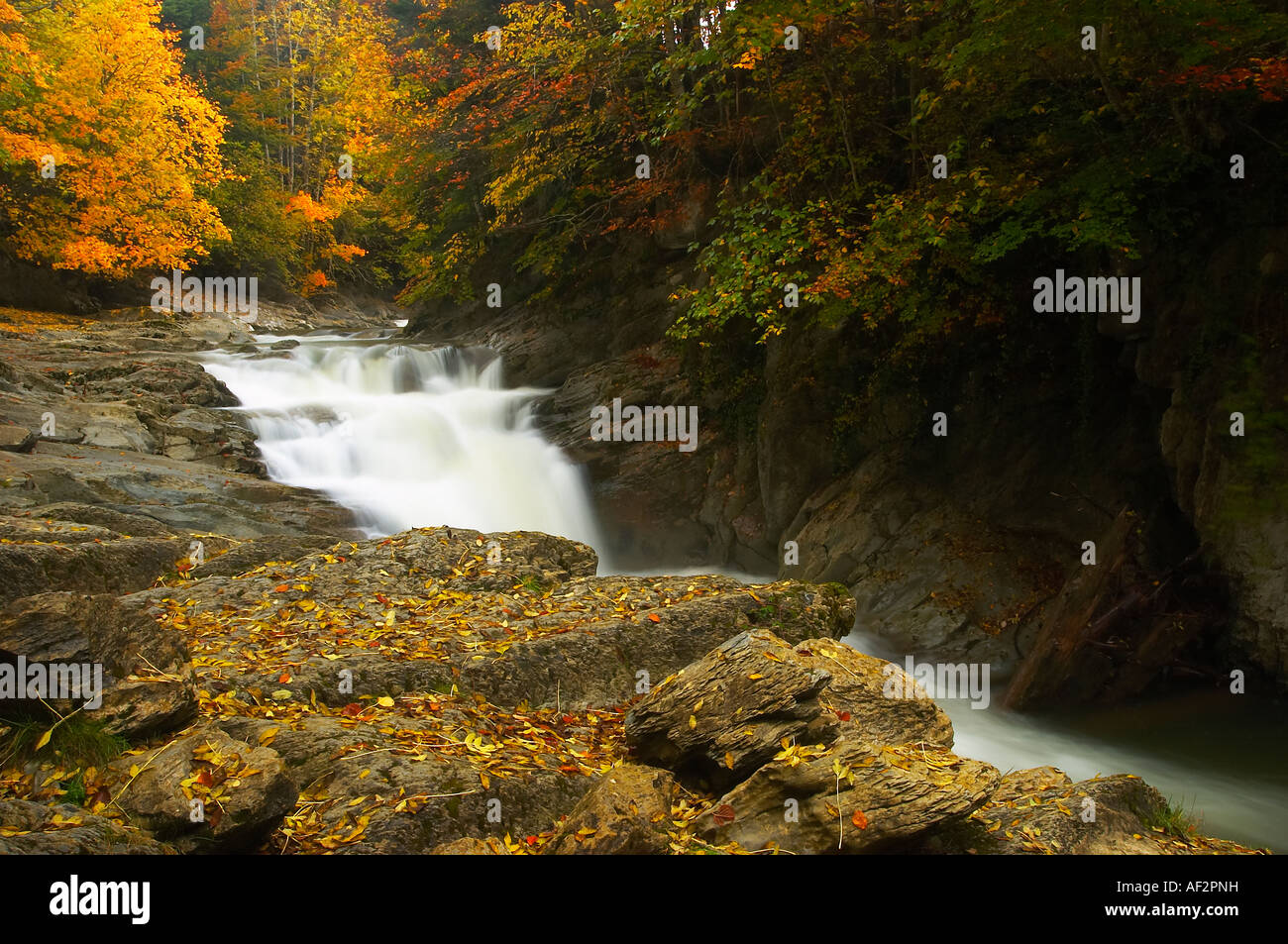 Hayedo y cascada del cubo,  Selva de Irati Navarra Spain. Beech Forest and waterfall of Cubo, Iraty Forest, Navarre, Spain. Stock Photo