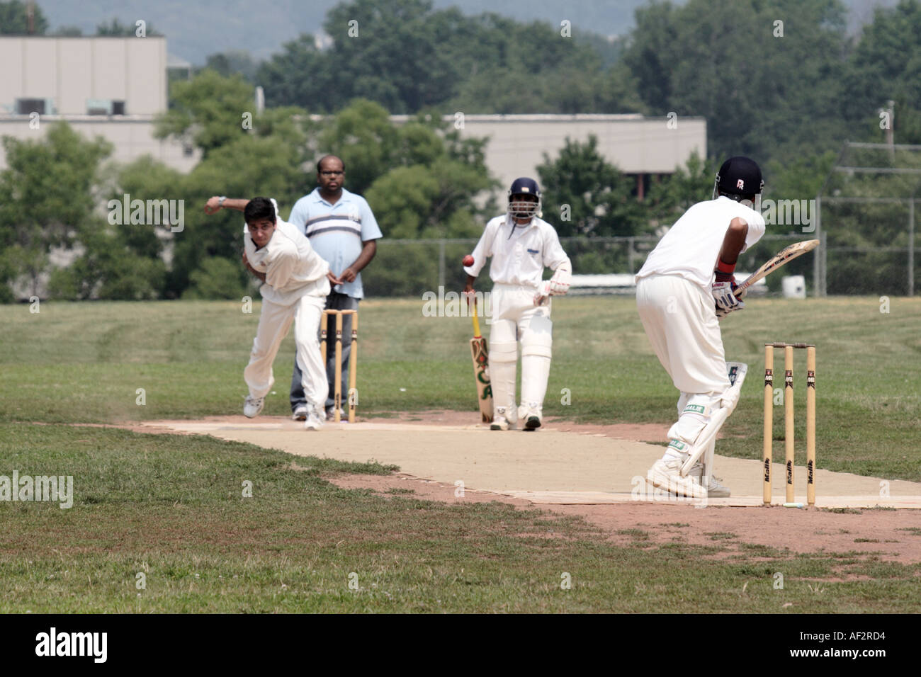 Cricket Face High Resolution Stock Photography and Images - Alamy