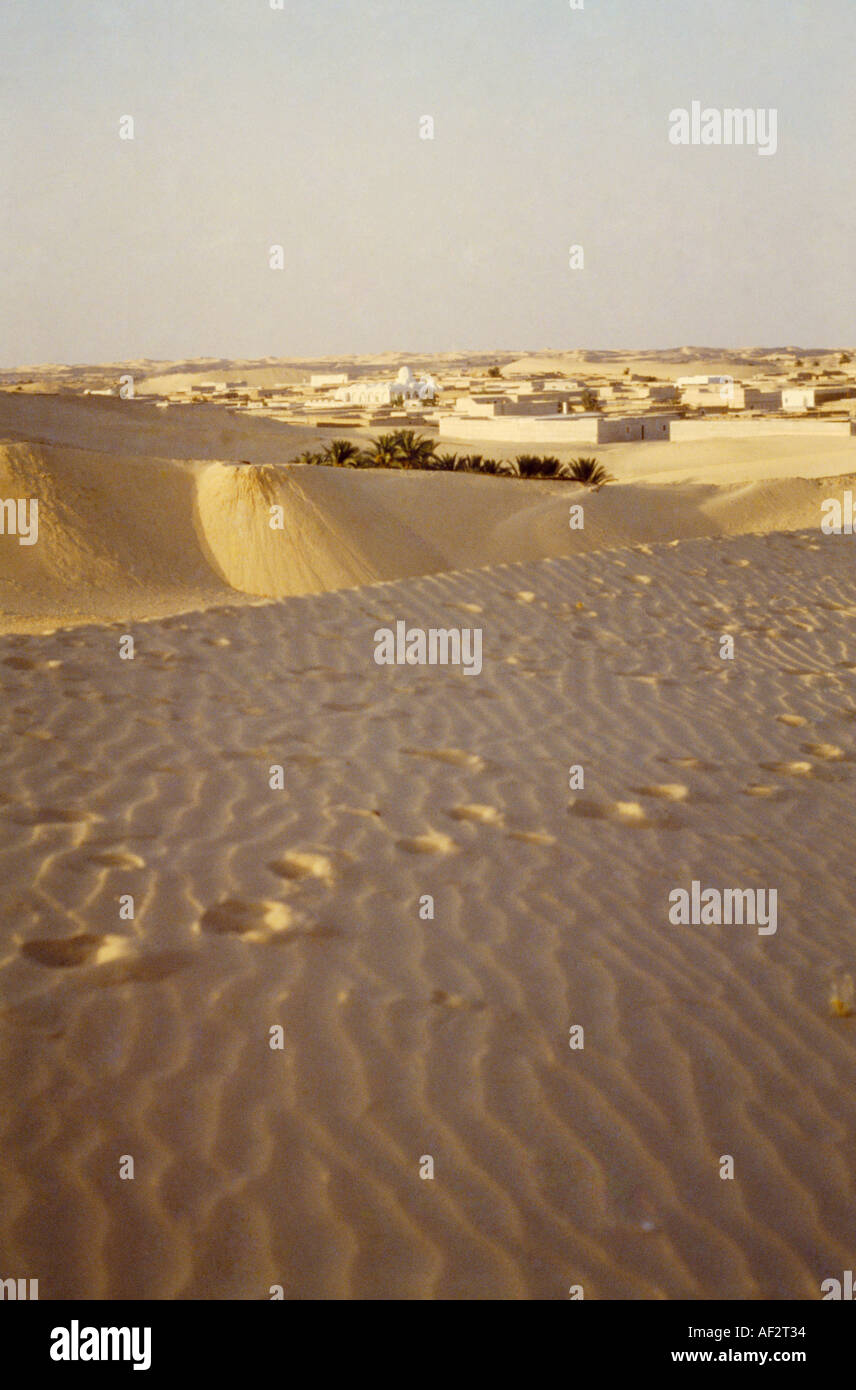 El Oued Algeria Sahara Desert Footprints Stock Photo