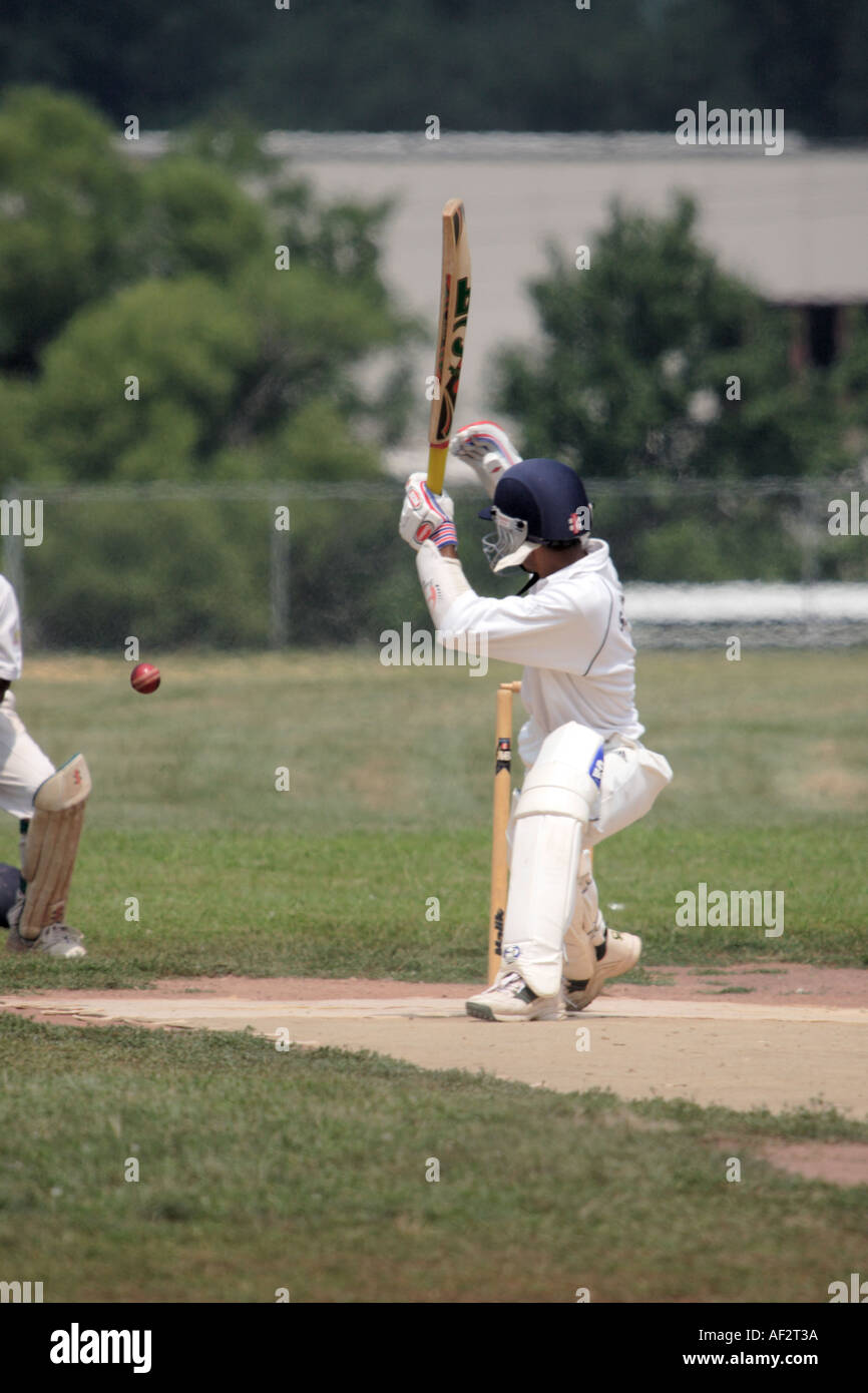 Cricket batsmen hits the ball Stock Photo Alamy