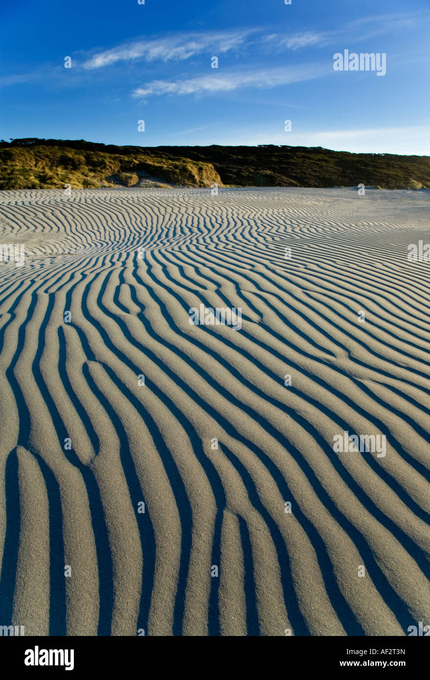 Ripples created in sand dunes at Wharariki Beach, Golden Bay, New Zealand Stock Photo