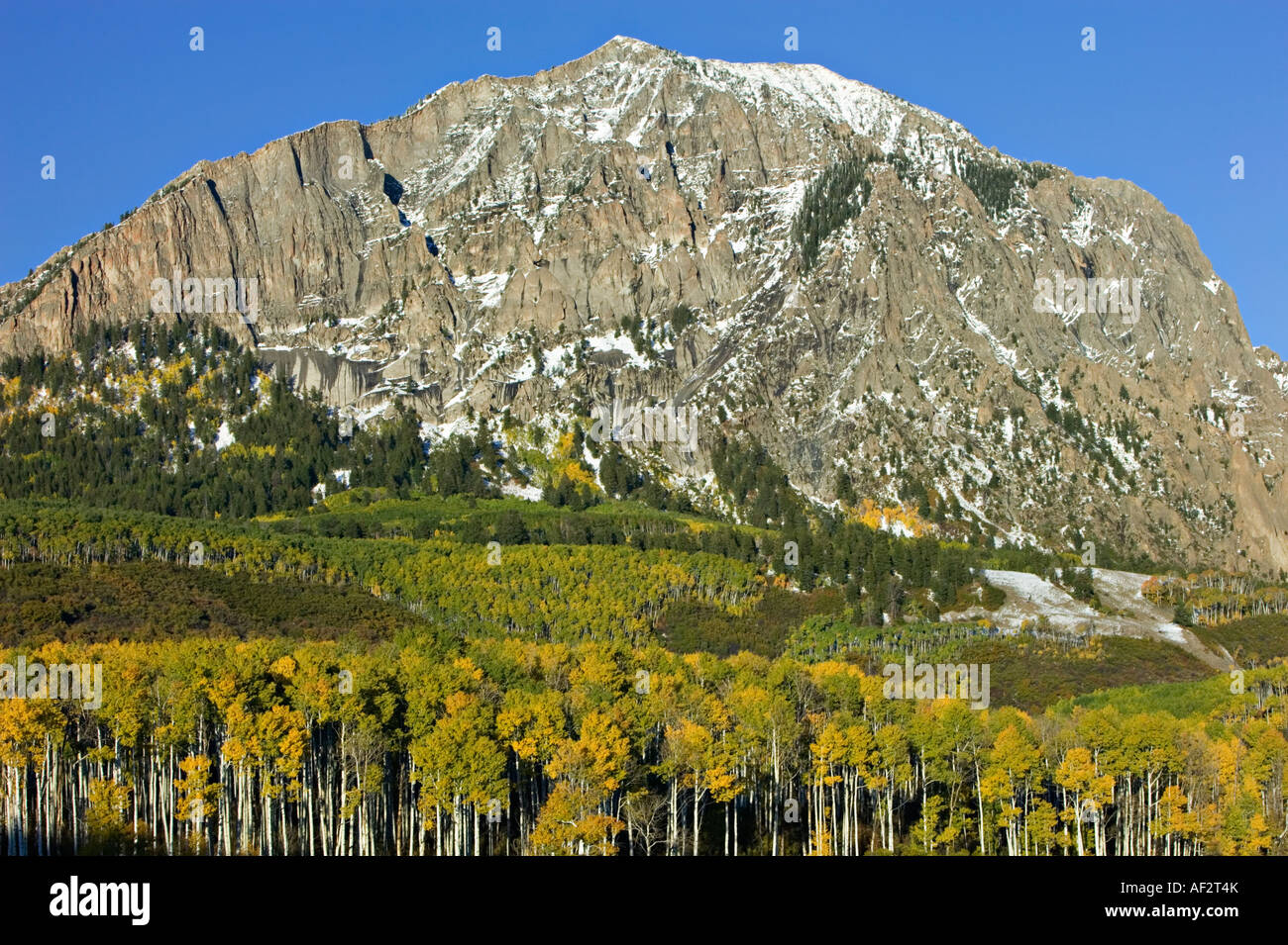 Fall color in Rocky mountains Stock Photo - Alamy