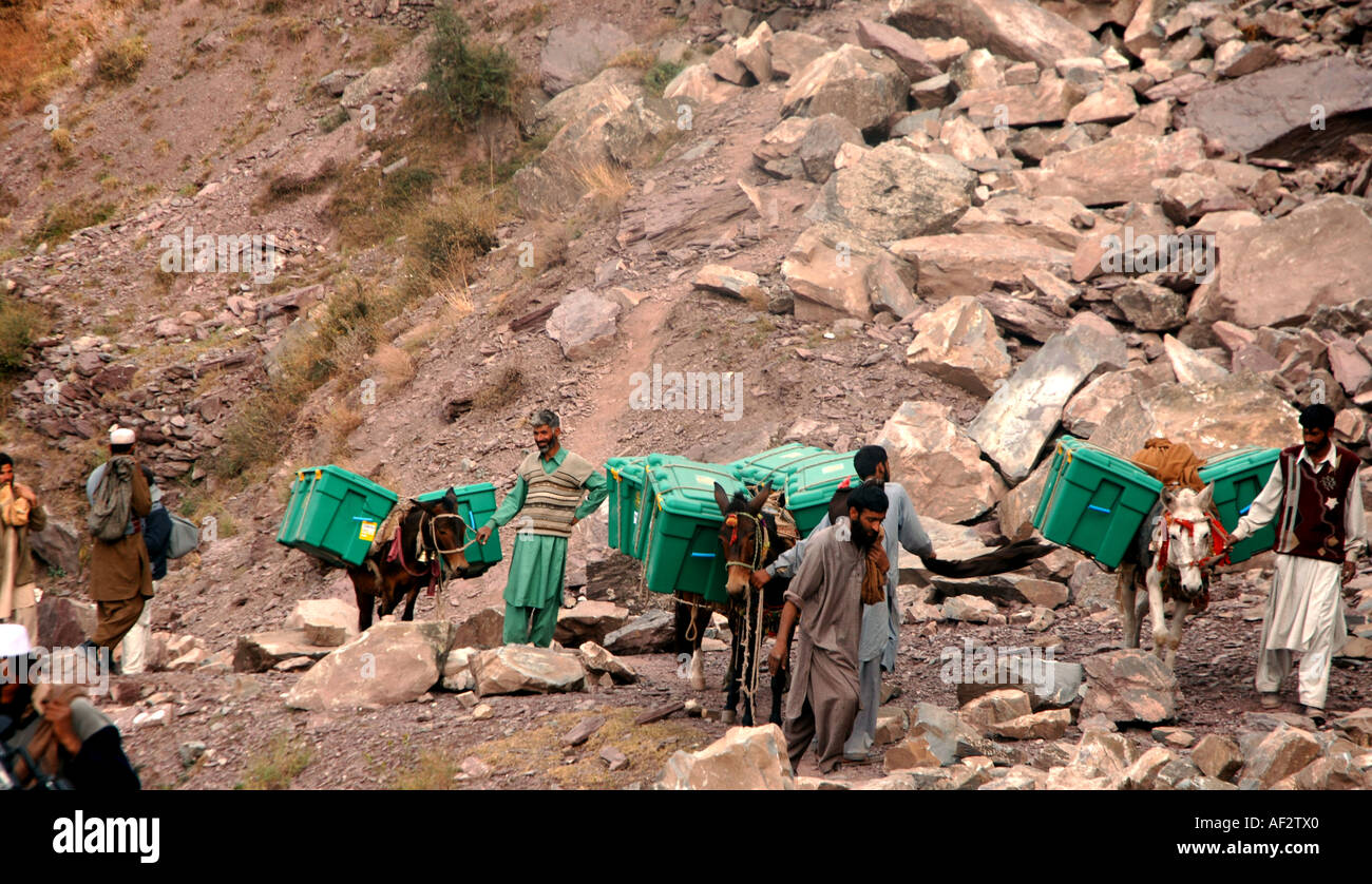Aid carried by mules for  earthquake survivors in high altitude villages above Balakot, Khyber Pakhtunkhwa, Pakistan. Stock Photo
