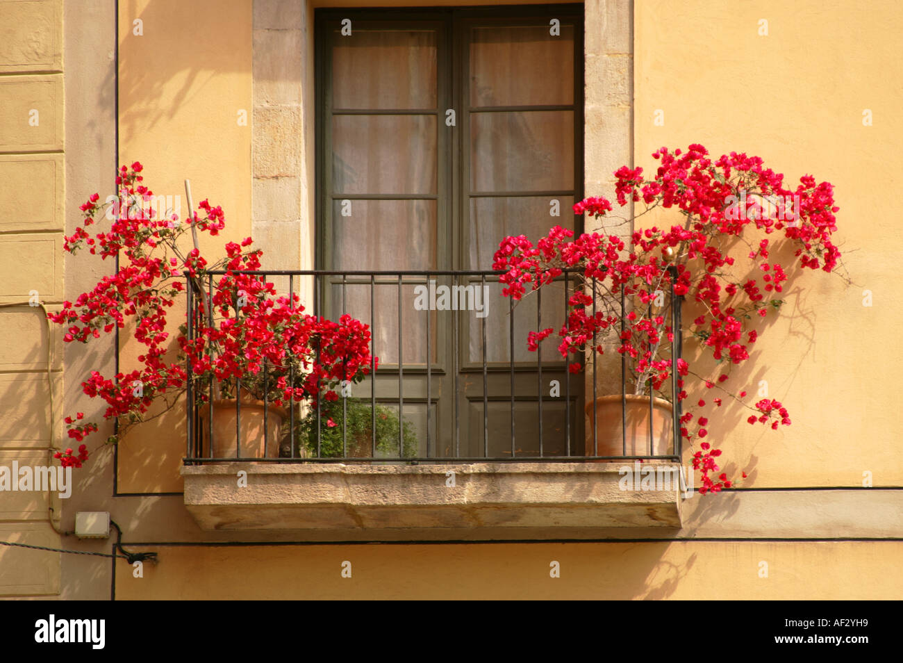 Red flowers on balcony in Barcelona square Stock Photo