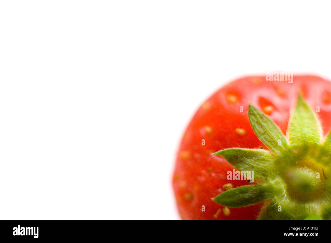 Strawberry close up Stock Photo