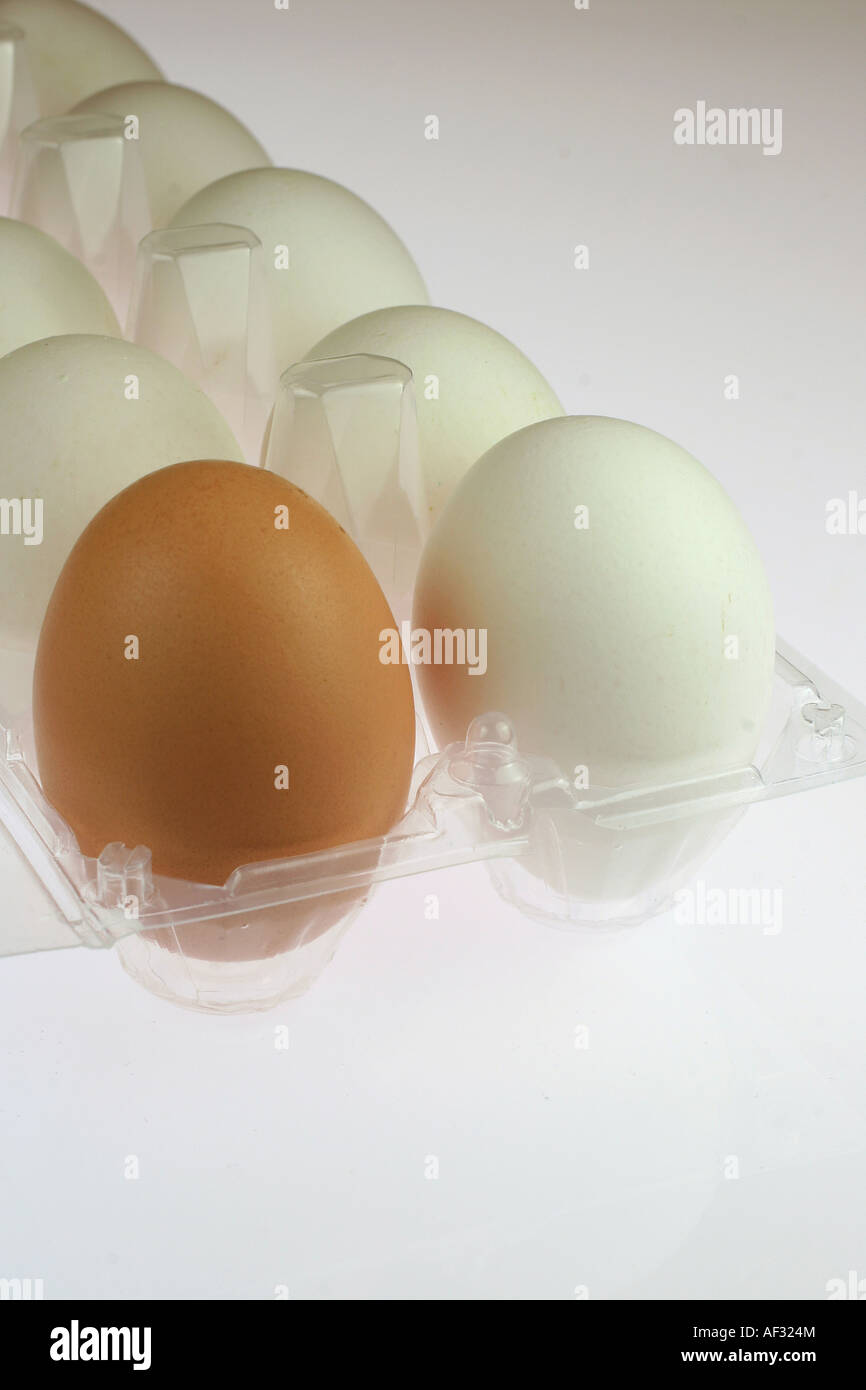 eggs Stock Photo