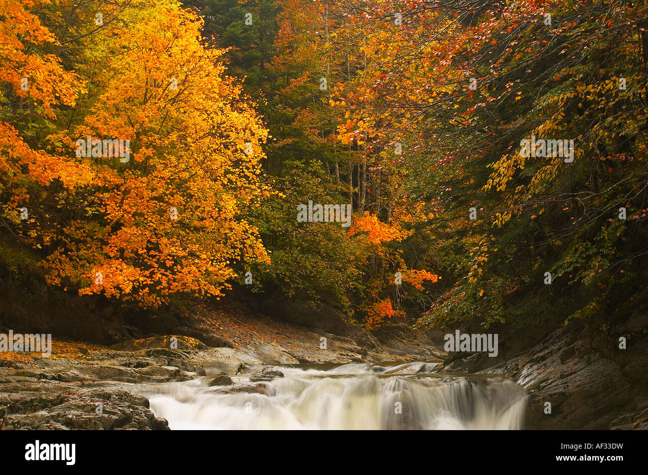 Hayedo y cascada del cubo,  Selva de Irati Navarra Spain. Beech Forest and waterfall of Cubo, Iraty Forest, Navarre, Spain. Stock Photo